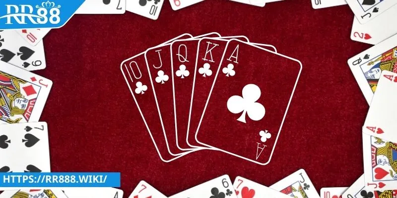 RR88 chính là sân chơi chuyên nghiệp và đỉnh cao hiện nay